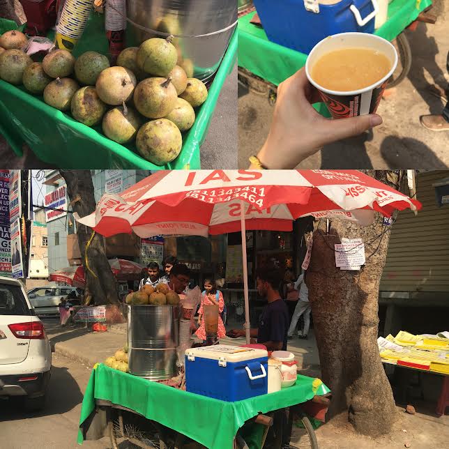 インド コーディネーター,